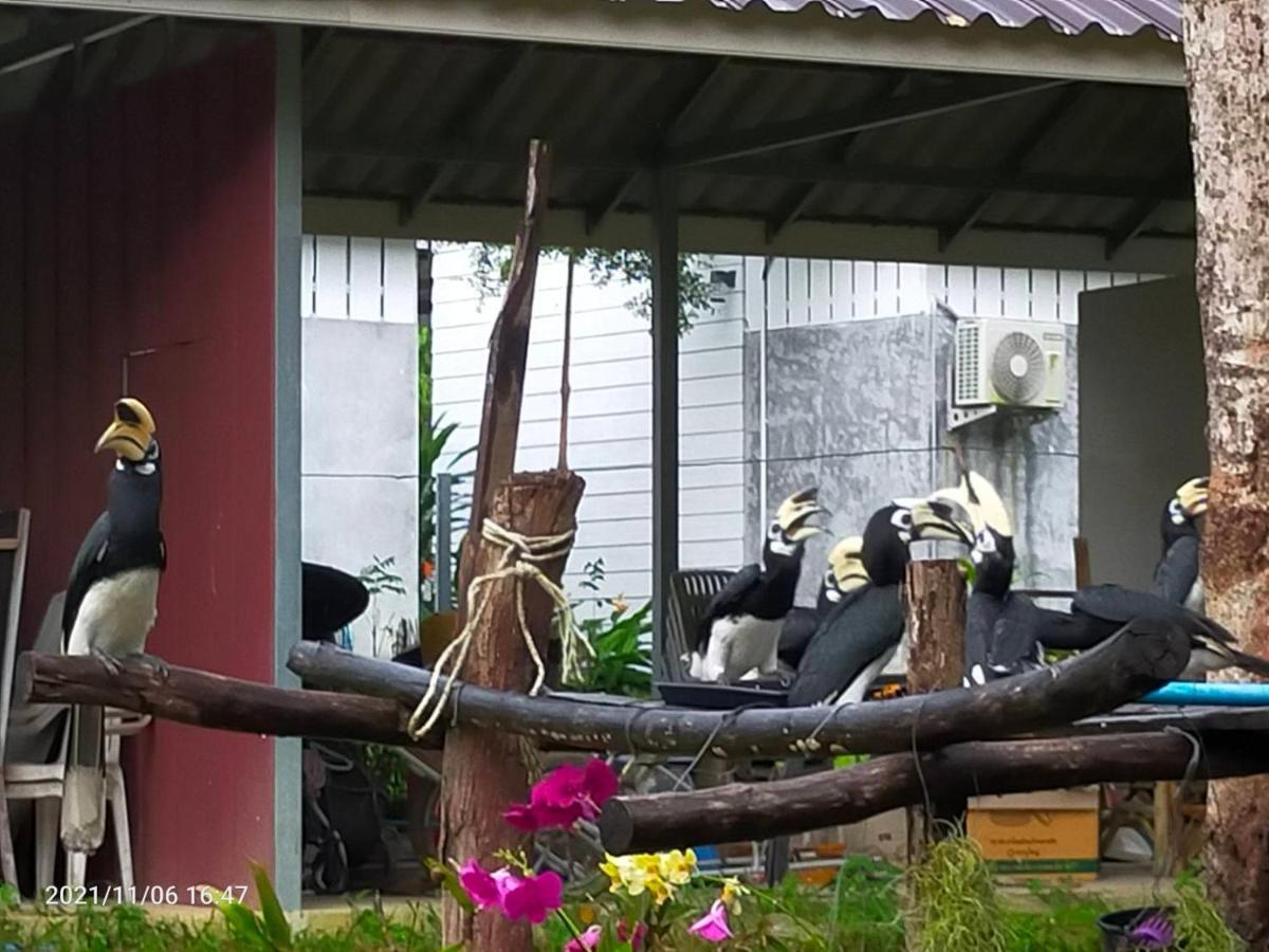 Eco Bungalow Đảo Ko Phayam Ngoại thất bức ảnh