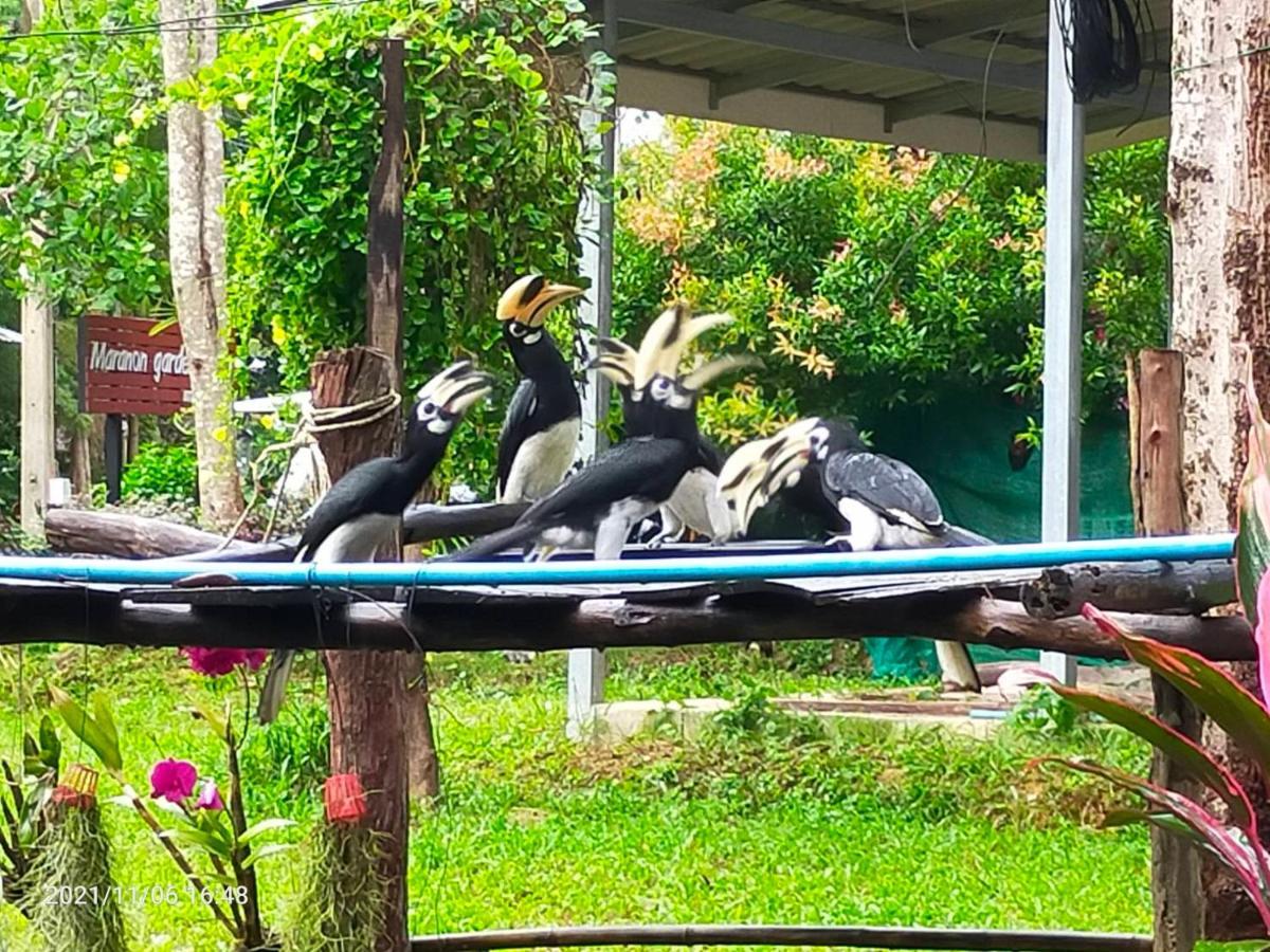 Eco Bungalow Đảo Ko Phayam Ngoại thất bức ảnh