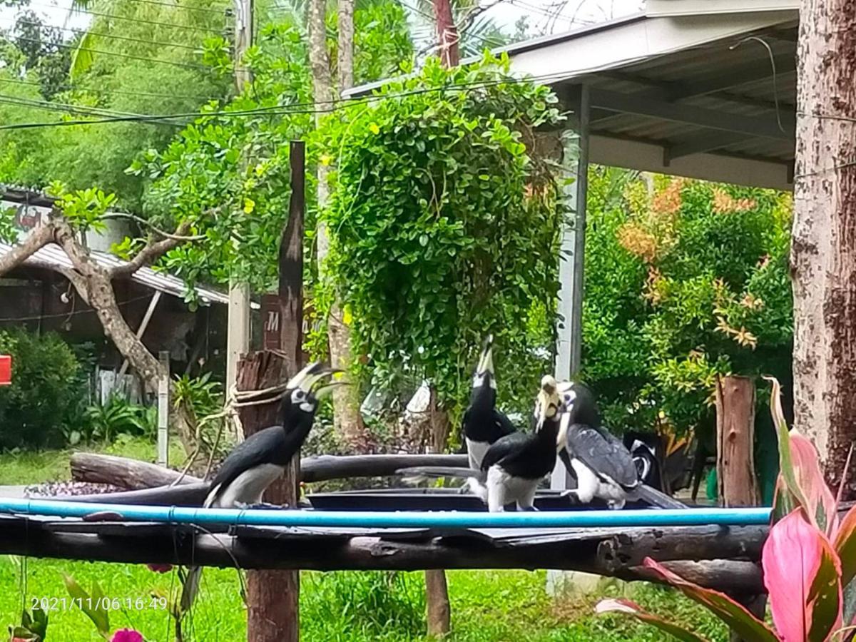 Eco Bungalow Đảo Ko Phayam Ngoại thất bức ảnh