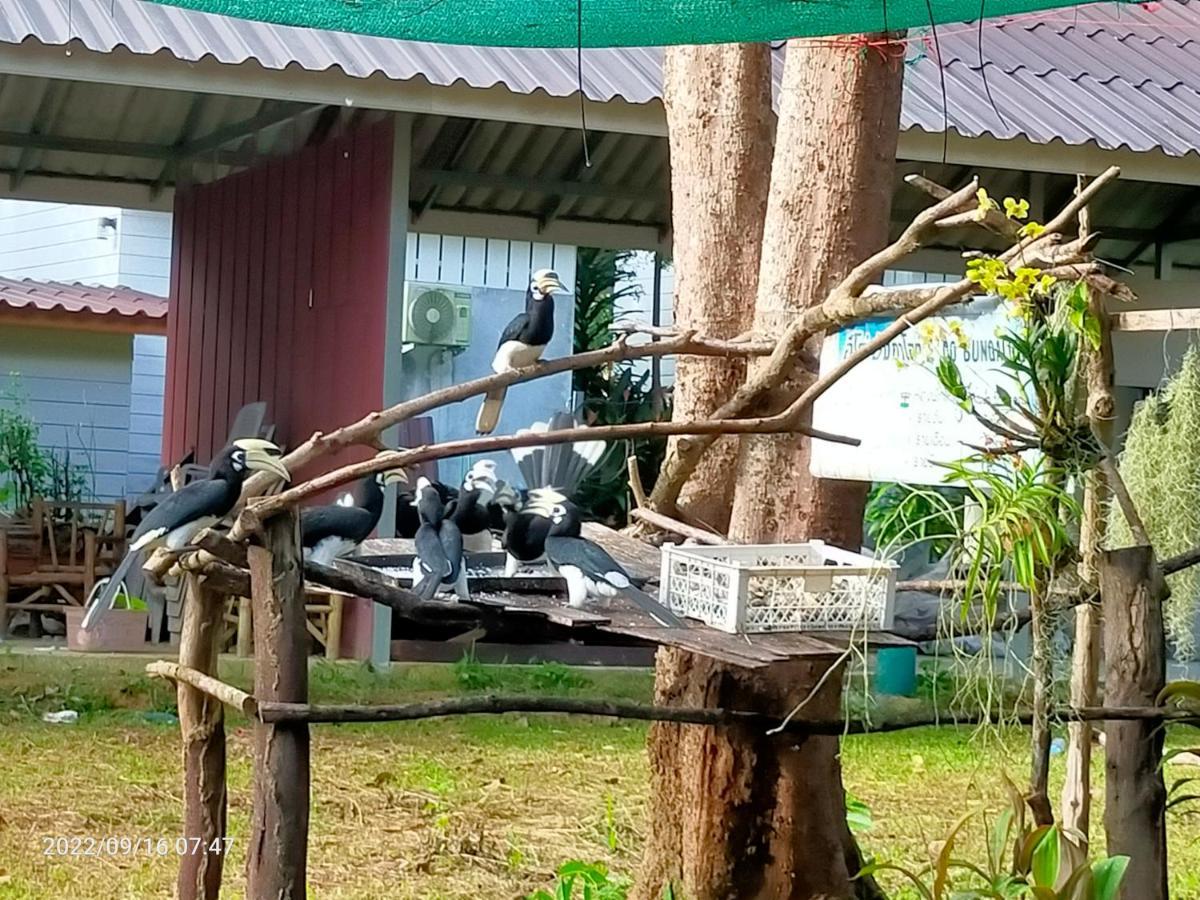 Eco Bungalow Đảo Ko Phayam Ngoại thất bức ảnh