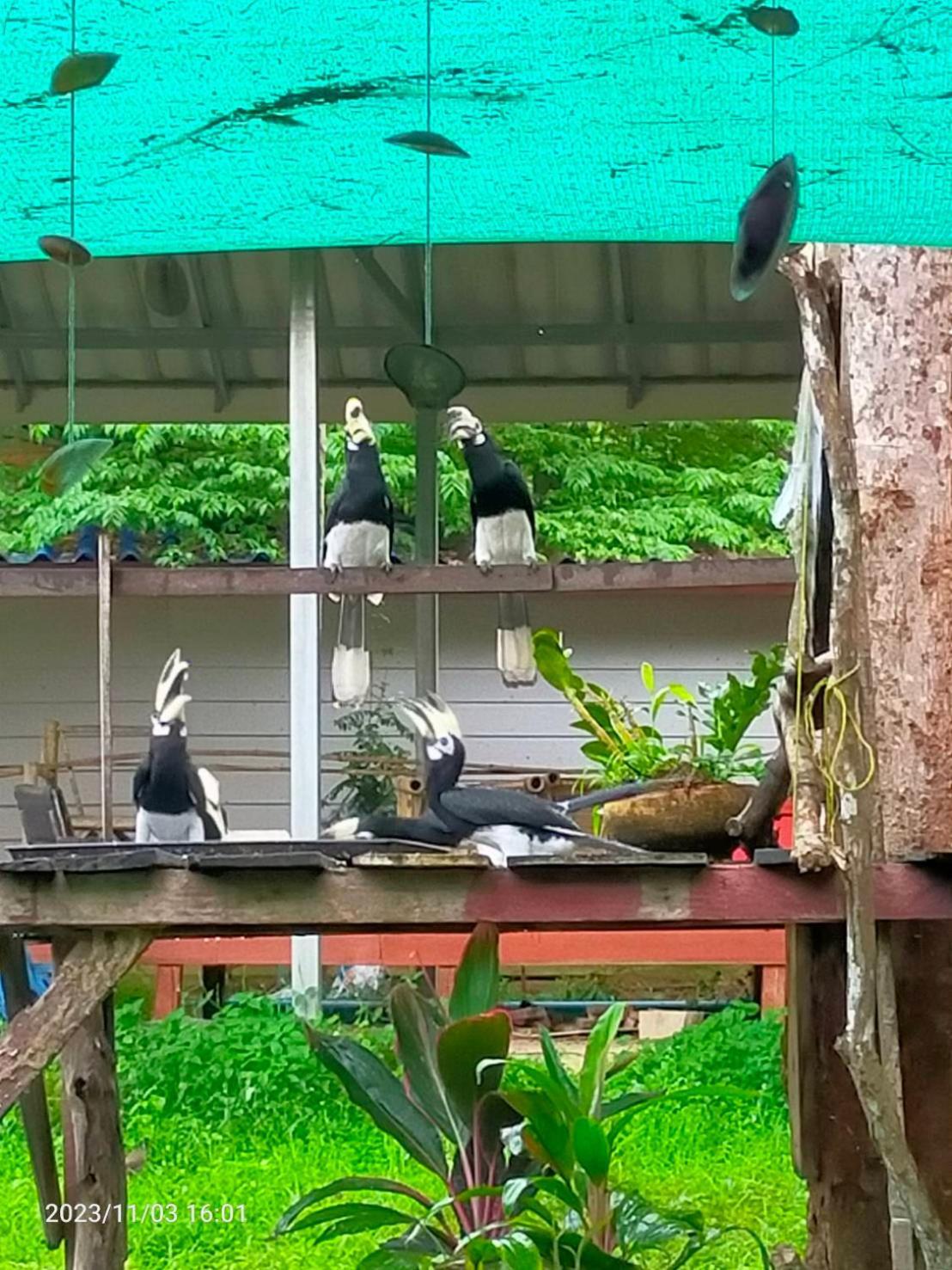 Eco Bungalow Đảo Ko Phayam Ngoại thất bức ảnh