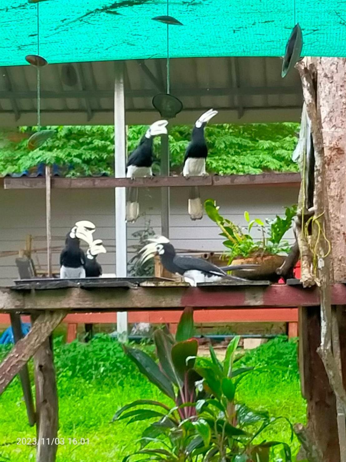 Eco Bungalow Đảo Ko Phayam Ngoại thất bức ảnh